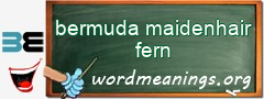 WordMeaning blackboard for bermuda maidenhair fern